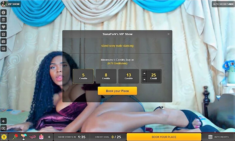 LiveJasmin VIP shows allow you to save money while watching a private show