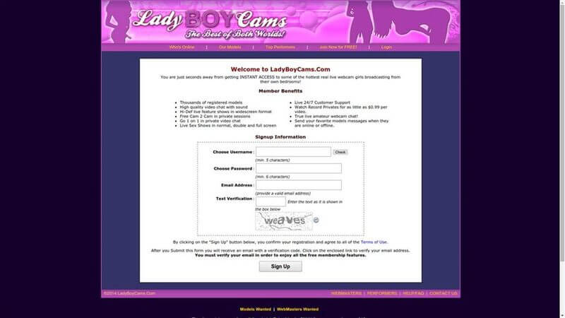 LadyboyCamscom Have You Got What It Takes To Handle Them