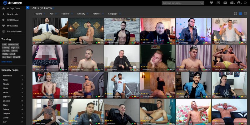 Streamen review of the gay webcam models