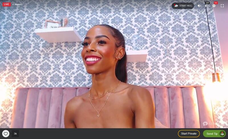 Stripchat is a freemium cam site with VR rooms that take PayPal as a method of payment 