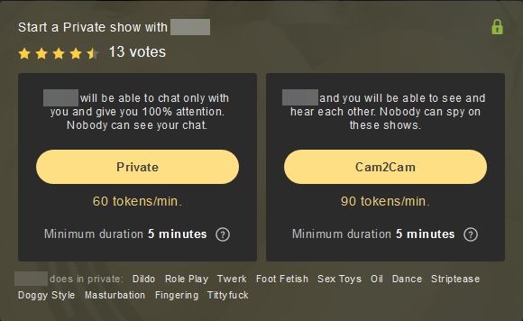 Stripchat feature 1 on 1 cam chat in private cam shows